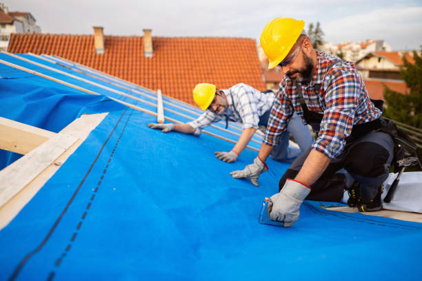 Best Chimney Flashing Repair  in Highland, NY